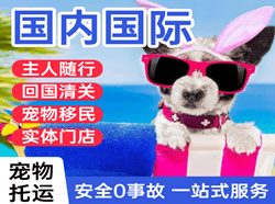 武汉航空快递国际宠物托运 【国